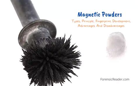 Magnetic Powders Types Principle Fingerprint Development