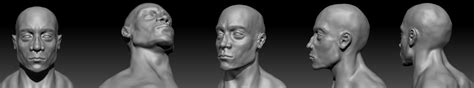 Face Anatomy Sculpt Male Character For Feedback Polycount