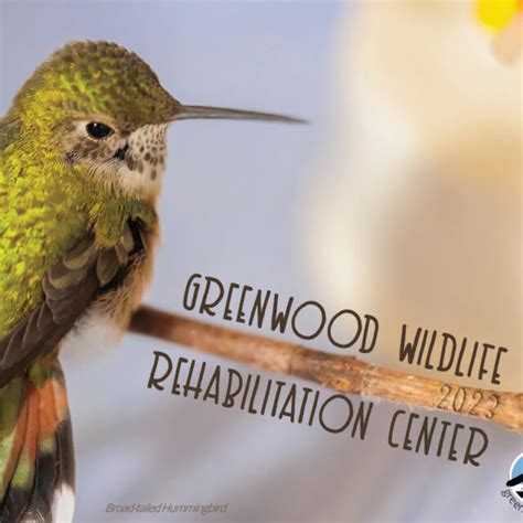 Sponsor A Songbird Greenwood Wildlife Rehabilitation Center