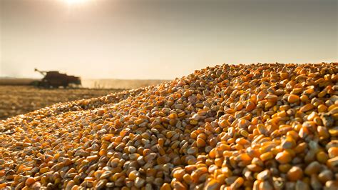 The Magazine Of Grain Farmers Of Ontario Ontario Grain Farmer