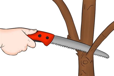 How To Use A Pruning Saw