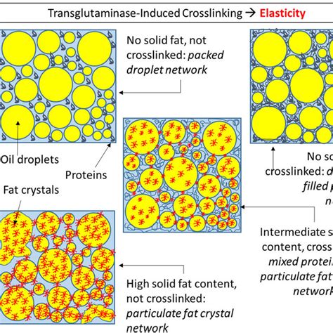 Pdf Formation And Characterization Of Plantbased Emulsified And