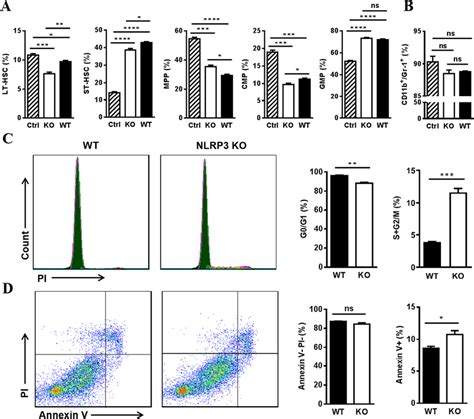 Cell Cycle And Apoptosis Analysis Of Hspcs After Co Culture With