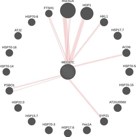 Protein Protein Interaction Map Of The Gene Med37c 395 Physical