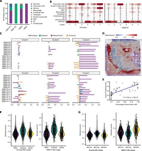 Decoding Heterogeneous And Coordinated Tissue Architecture In