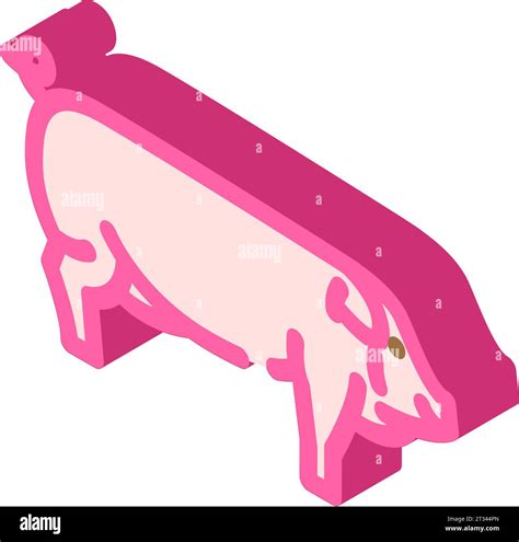 Landrace Pig Breed Isometric Icon Vector Illustration Stock Vector