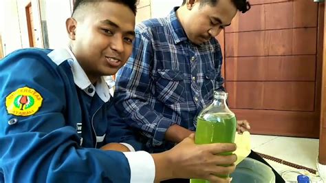 Kultur Fitoplankton Spirulina Sederhana Menggunakan Pupuk Urea Youtube