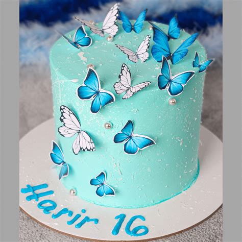 Sky Blue Butterfly Cake Delightful Flavors And Best Design