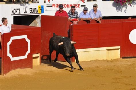 Ar Nes Henri Capdeville Saint Sever Patrimoine Des Landes