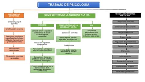 Mapa Conceptual Trabajo De Psicologia Pdf Ira Las Emociones