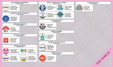 Rosatellum Come Funziona La Legge Elettorale Con Cui Si Voter Il