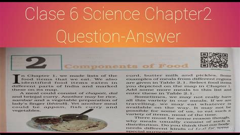 Components Of Food Question Answer 2022 CLASS 6 SCIENCE YouTube