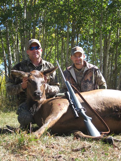 Homestead Ranch - Colorado Cow Elk Hunts