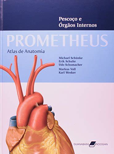 Prometheus Atlas De Anatomia Pescoço E Órgãos Internos by michael