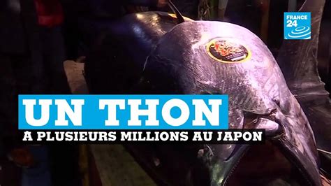 Un Thon Vendu Millions D Euros Aux Ench Res Au Japon Youtube