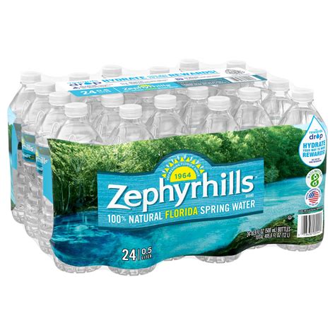 Zephyrhills Brand 100 Natural Spring Water Pack Of 24 169 Fl Oz