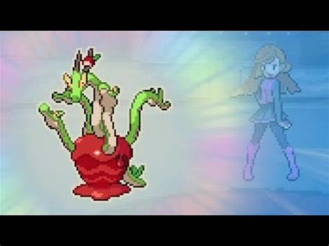 Elite Four Pokemon Itinerant Youtube