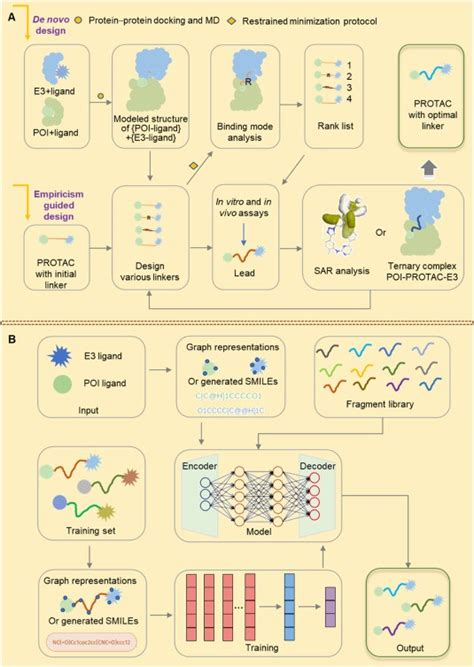 Linker Matters In Protac Design Creative Biolabs Protac Blog