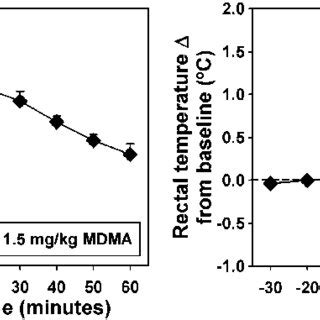 Effects Of Mg Kg Top Or Mg Kg Bottom Mdma On Extracellular