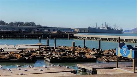 San Francisco Fishermans Wharf Walking Tour San Francisco Hurb