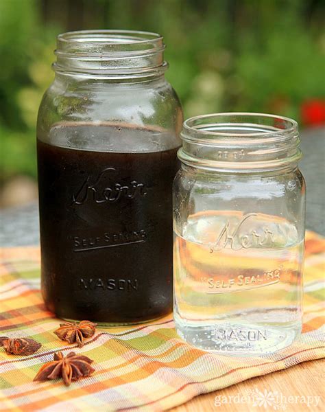 How to Make Root Beer - an Easy Homemade Root Beer Recipe