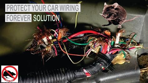 Rodent Damage To Car Wiring Cost