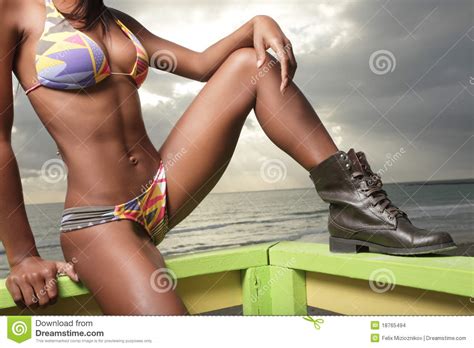 Image D un Fuselage De Womans Dans Un Bikini Photo stock Image du headless élégant 18765494