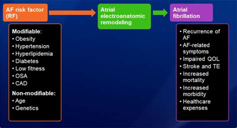 Risk Factors For Af Can Be Grouped Into Modifiable And Non Modifiable