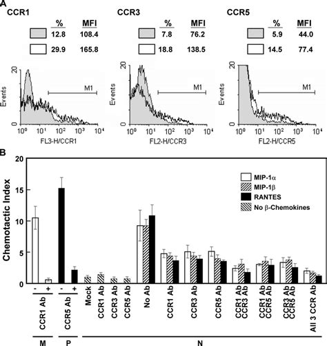 B Chemokines Upregulated Ccr1 Ccr3 And Ccr5 Expression And Interacted