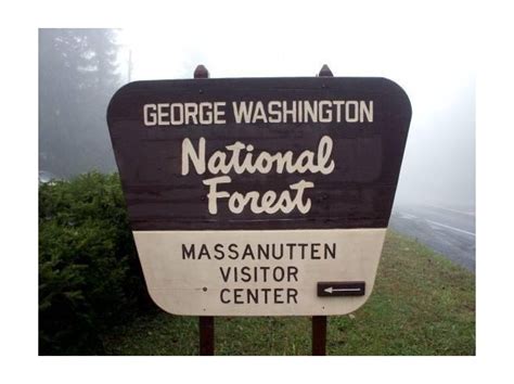 National Forest Sign Shape Park Signage Environmental Graphic Design National Forest