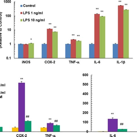 Pro Inflammatory Gene Expression In Human Pbmcs From Healthy Donors In