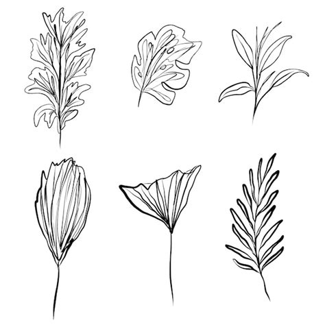 Premium Vector Collection Of Hand Drawn Vector Foliage