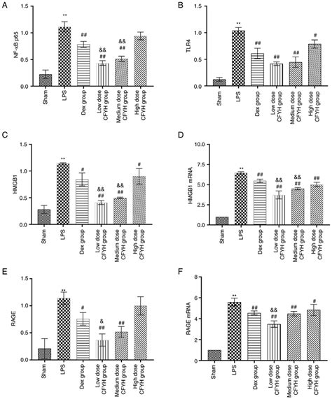 A Nf κb P65 B Tlr4 And C Hmgb1 Protein Expression Levels Were