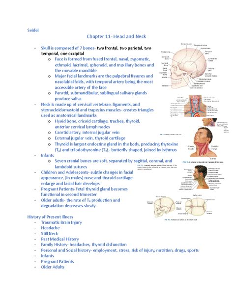 Week Reading Exam Summary Seidel S Guide To Physical Examination