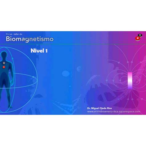 Biomagnetismo Nivel 1 Tus Cursos Muy Baratos