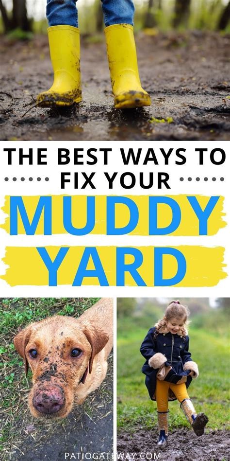 Tricks For Fast And Easy Fall Yard Cleanup Artofit