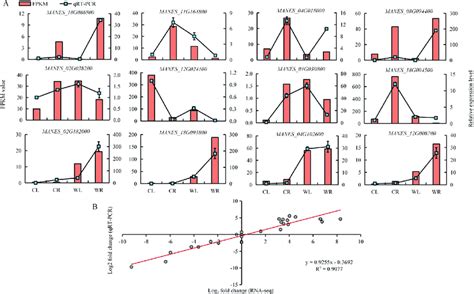 The Expression Patterns Of Selected Genes Were Verified By Qrt Pcr