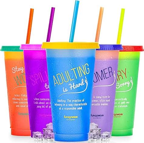 Amazon.com: reusable cups with lids and straws