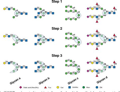 Figure From Automated Motif Discovery From Glycan Array Data