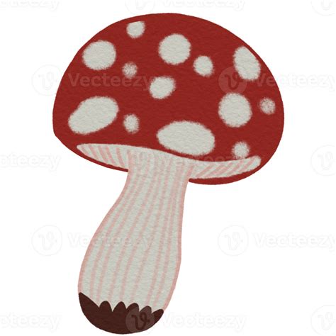 images of cute stuff 1