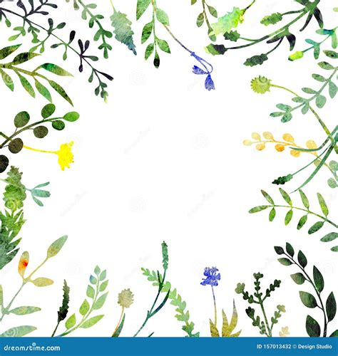 Watercolor Herbal Frame Stock Illustration Illustration Of Forest