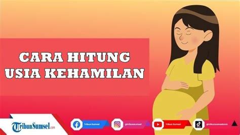 Cara Menghitung Usia Kehamilan Menggunakan Metode Naegele Dan HPHT Ibu