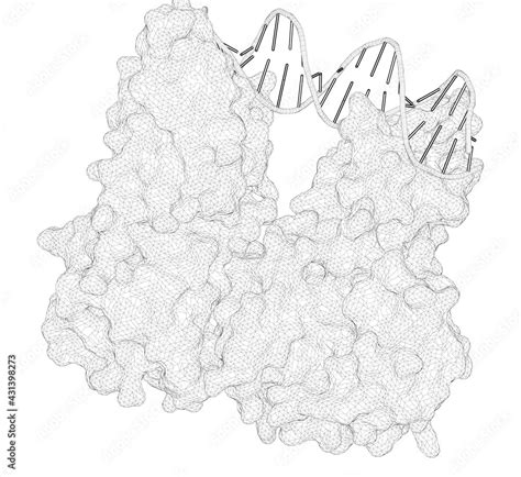 D Rendering As A Line Drawing Of A Biological Molecule Structural