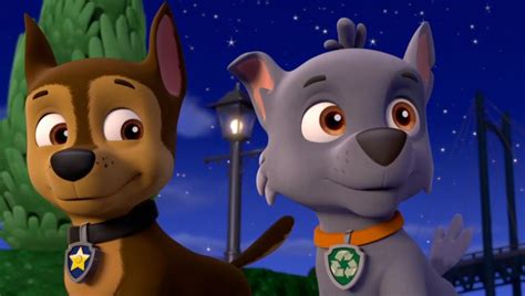 Chase And Rocky Paw Patrol Relation Ship Wiki Fandom