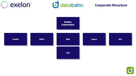 Exelon Org Chart Report In 2024 Databahn