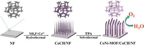 氢氧化碳酸钴辅助形成自支撑 Coni 基金属 有机骨架纳米带作为析氧反应的高效电催化剂 International Journal Of Hydrogen Energy X Mol