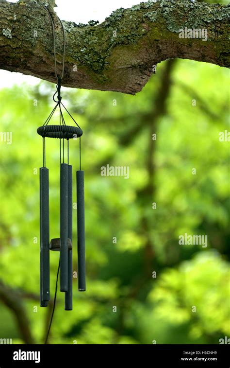 Wind Chimes hanging in tree Stock Photo - Alamy