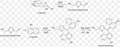 Molisch S Test Chemical Reaction Xanthoproteic Reaction 1 Naphthol Barfoed S Test Png