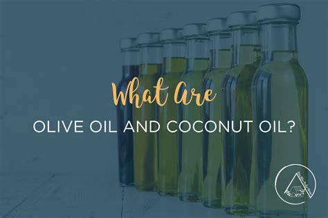 Olive Oil vs Coconut Oil | Which One is Better? - Our Blue Ridge House