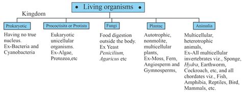 With characters show the scheme of Five Kingdom Classification